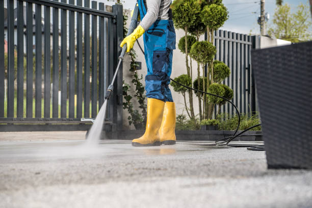 Best Roof Pressure Washing  in Maywood, CA